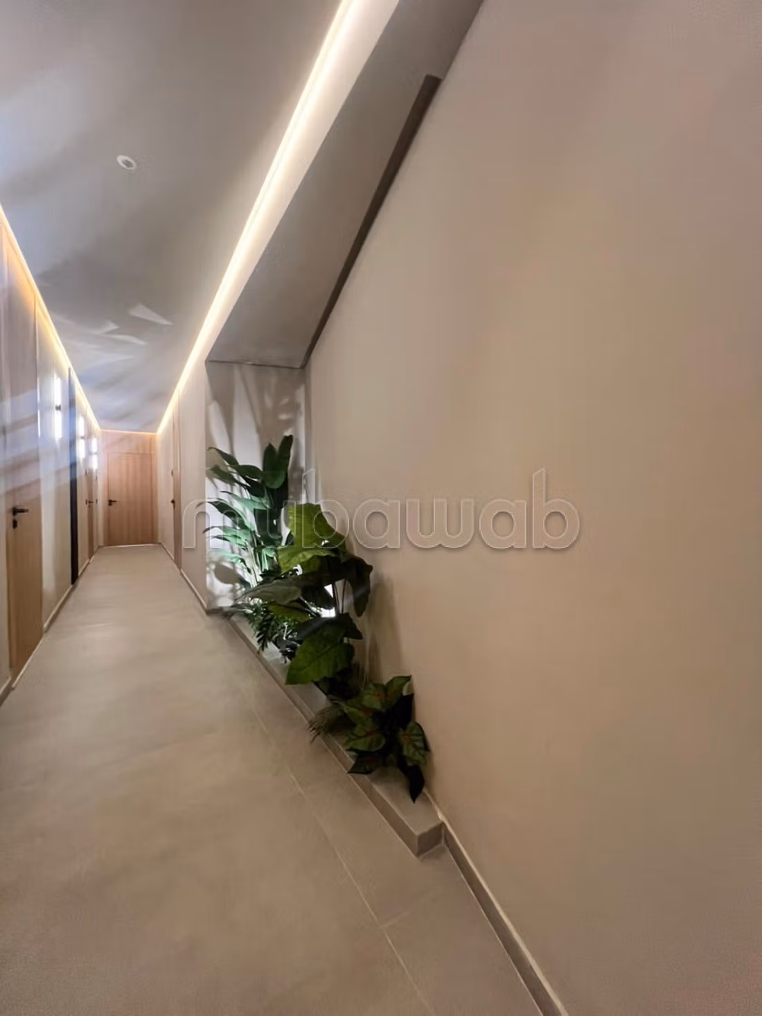 New studio for rent OASIS