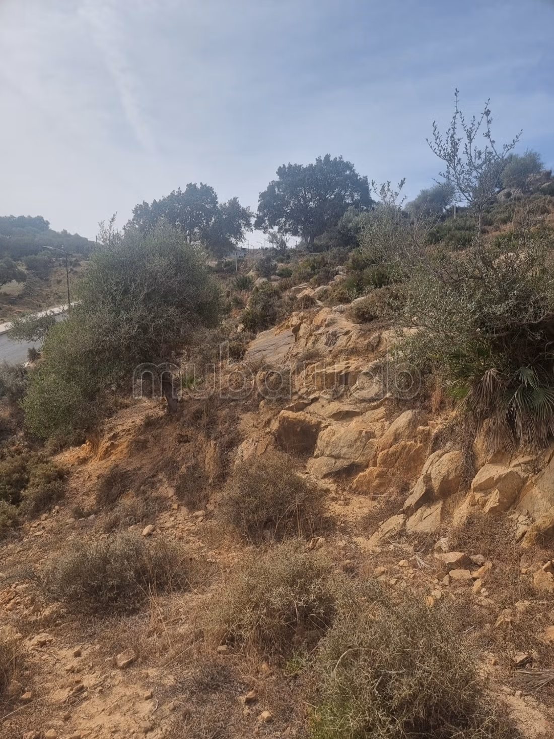 Terrain a vendre tanger,
gzenaya