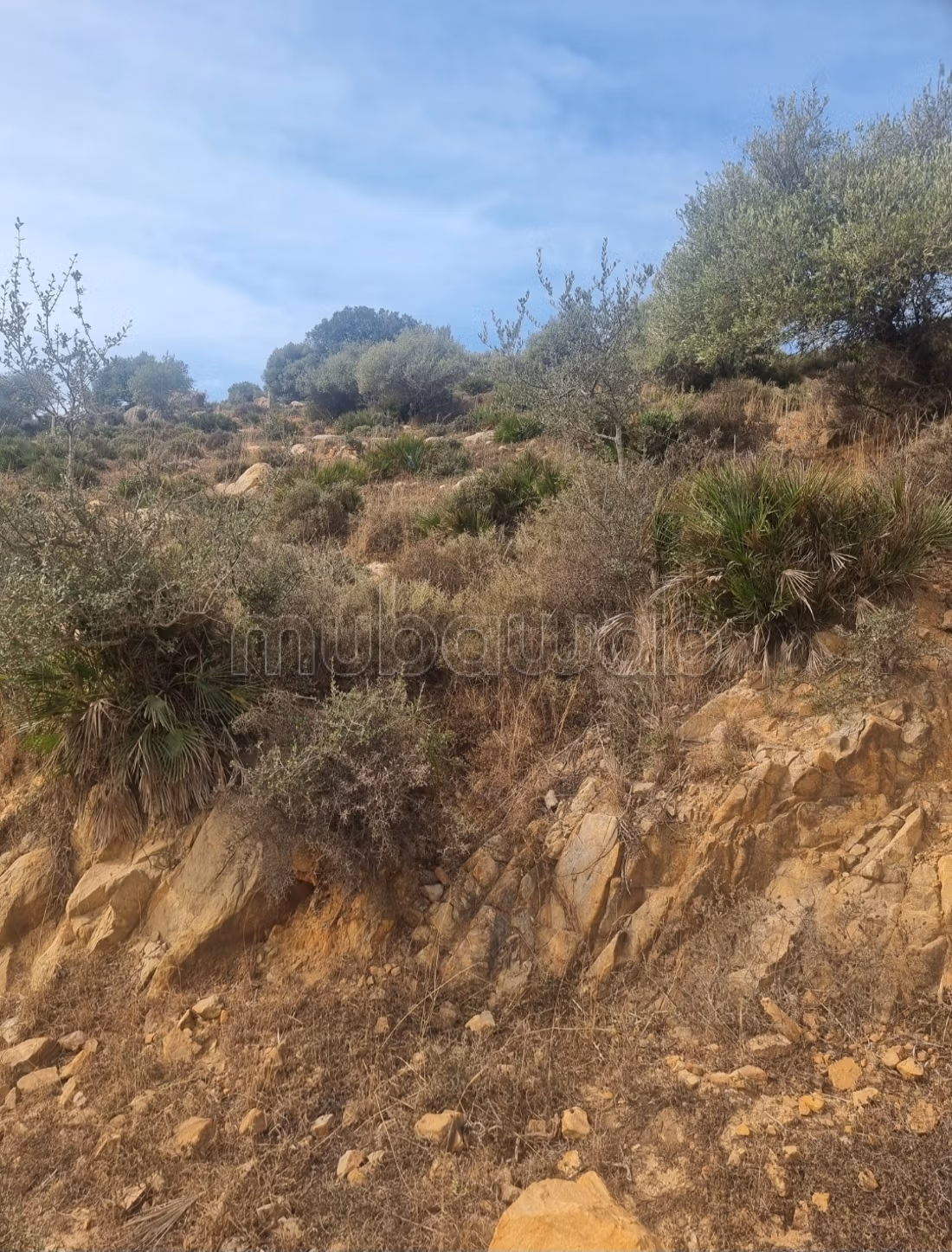 Terrain a vendre tanger,
gzenaya
