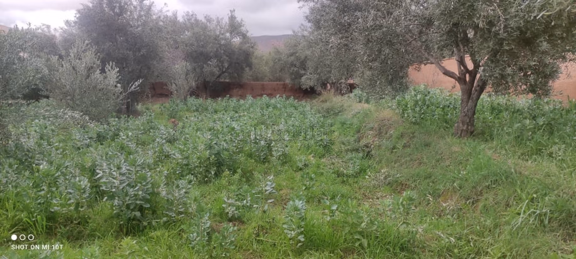 Maison de campagne à Marigha avec vue panoramique