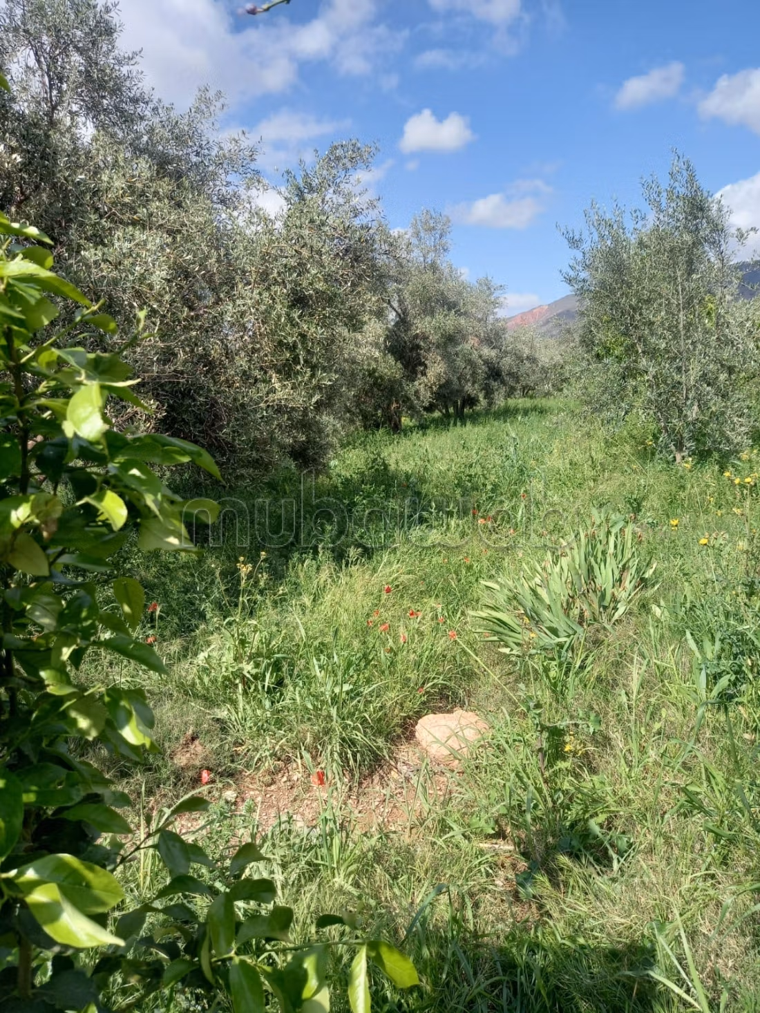 Maison de campagne à Marigha avec vue panoramique