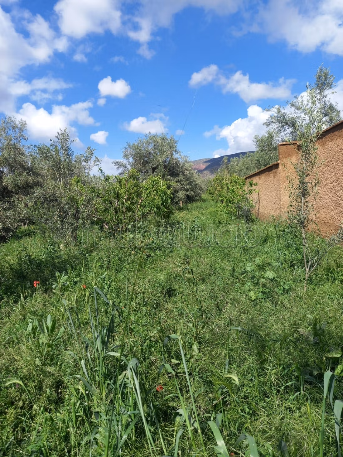 Maison de campagne à Marigha avec vue panoramique