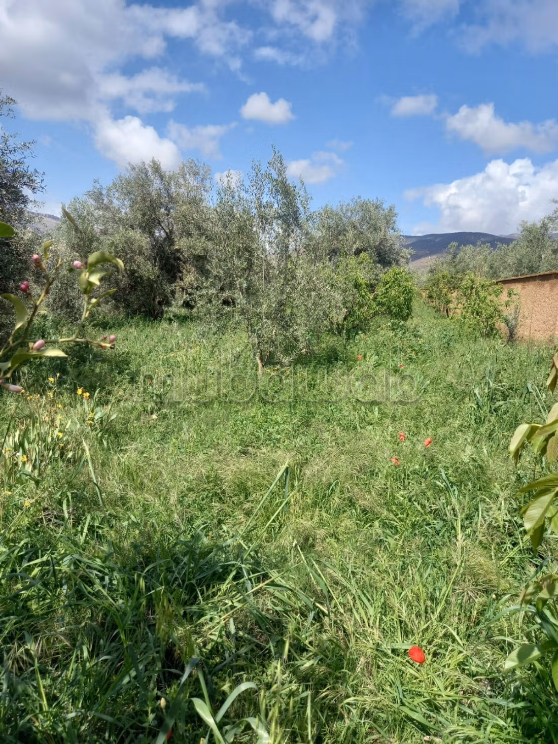 Maison de campagne à Marigha avec vue panoramique