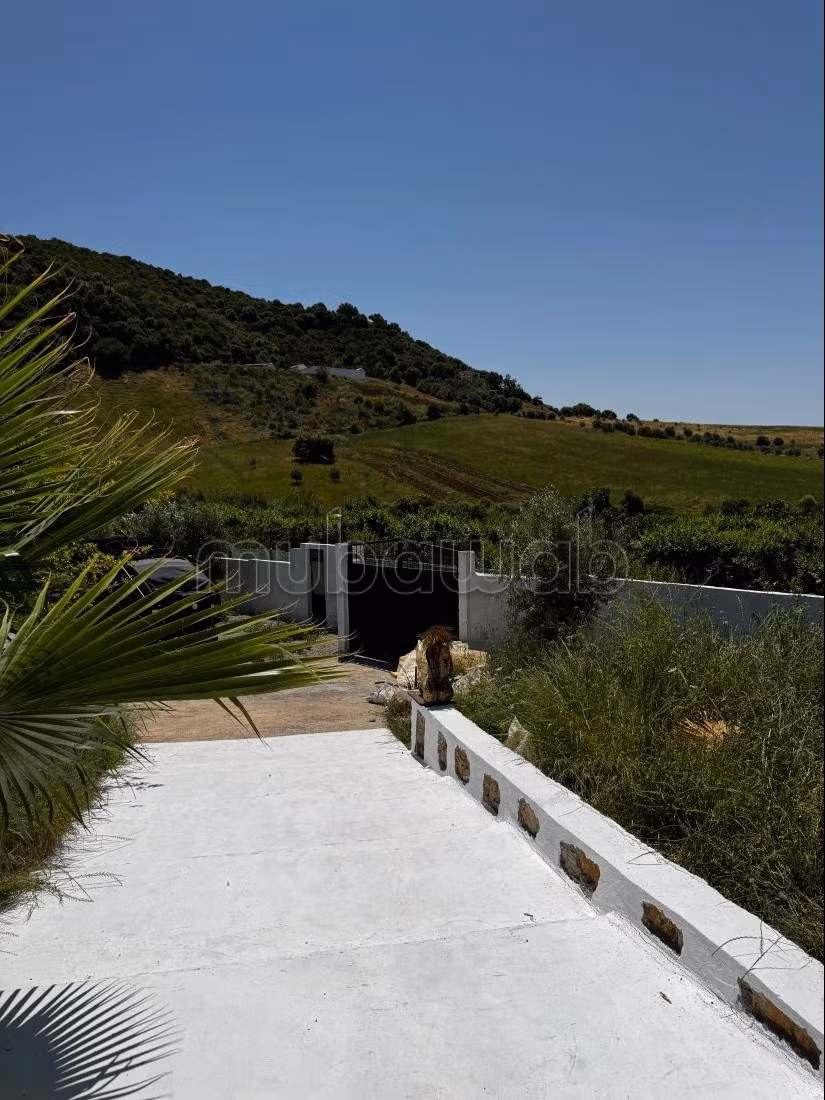 Ferme à vendre à Ouazzane.
Superficie 120 m².
Résidence sécurisée