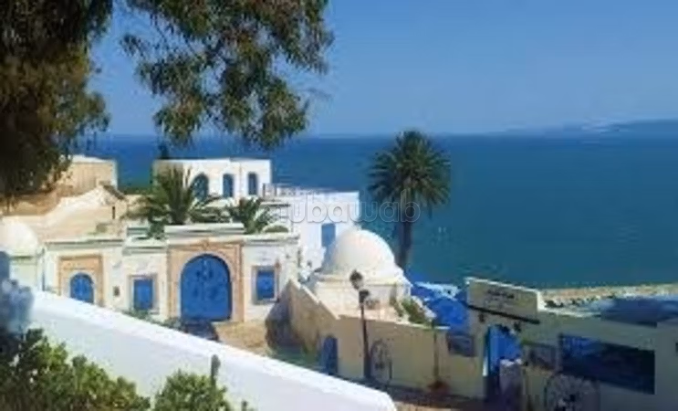 Terrain Exceptionnel A Sidi Bousaid