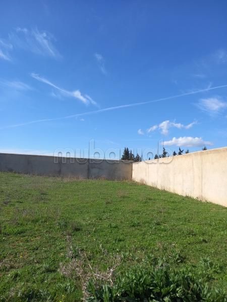 Terrain entièrement clôturé 8200m² à HAMMAMET