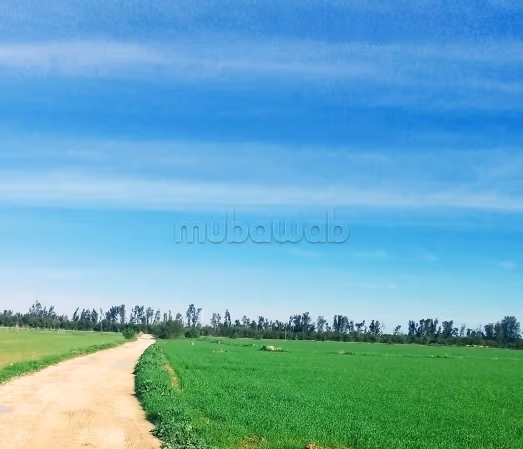 Vente terrain à Chorchef 24. 
Superficie 25000 m²