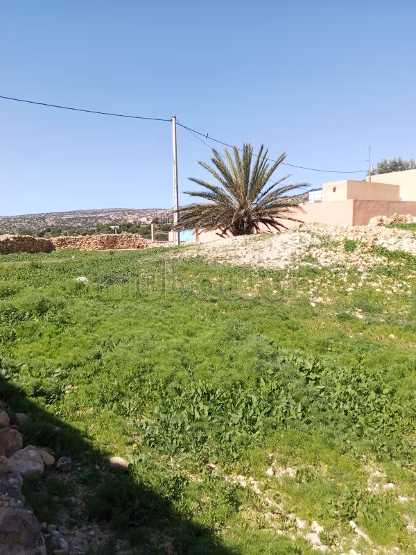 Terreno