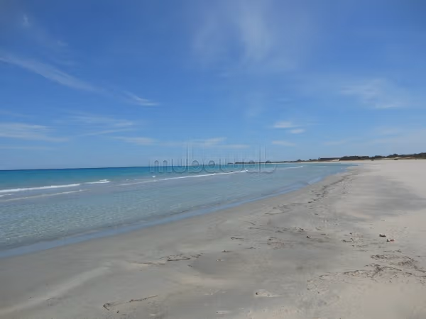 5 hectare à partager