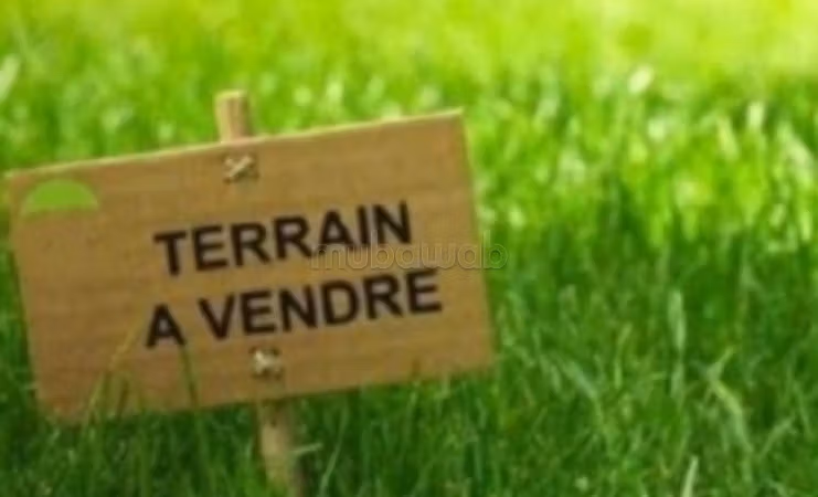 Vente de terrain à Boulevard Med 6.
Surface totale 506 m²