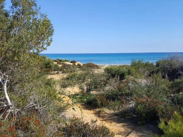 Offre de terrain pour investir