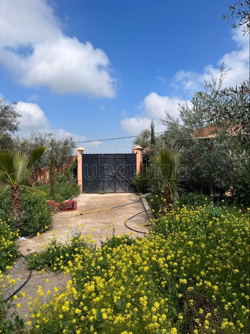 Te koop: boerderijen. Oppervlakte 1000 m²