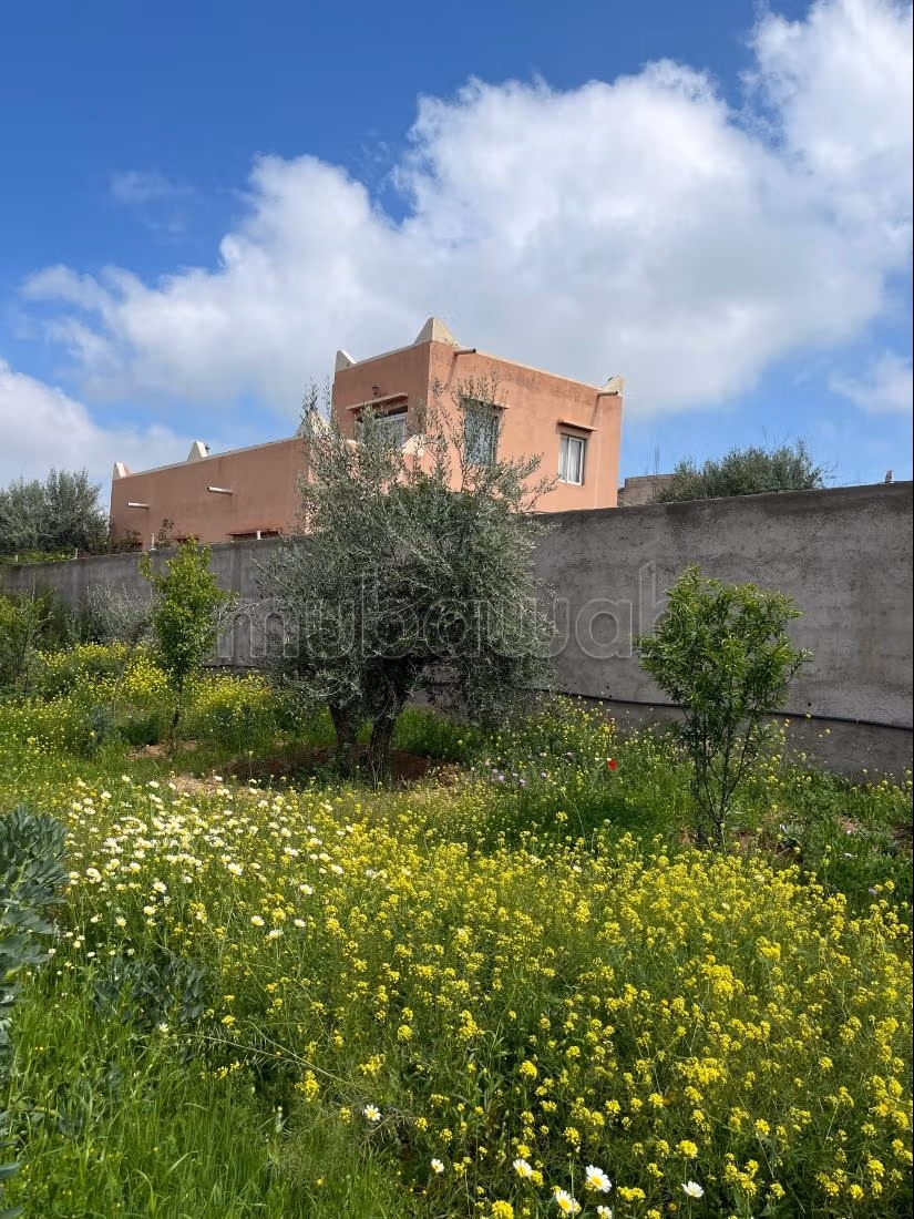 Te koop: boerderijen. Oppervlakte 1000 m²