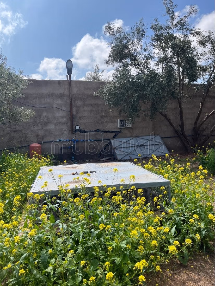 Te koop: boerderijen. Oppervlakte 1000 m²