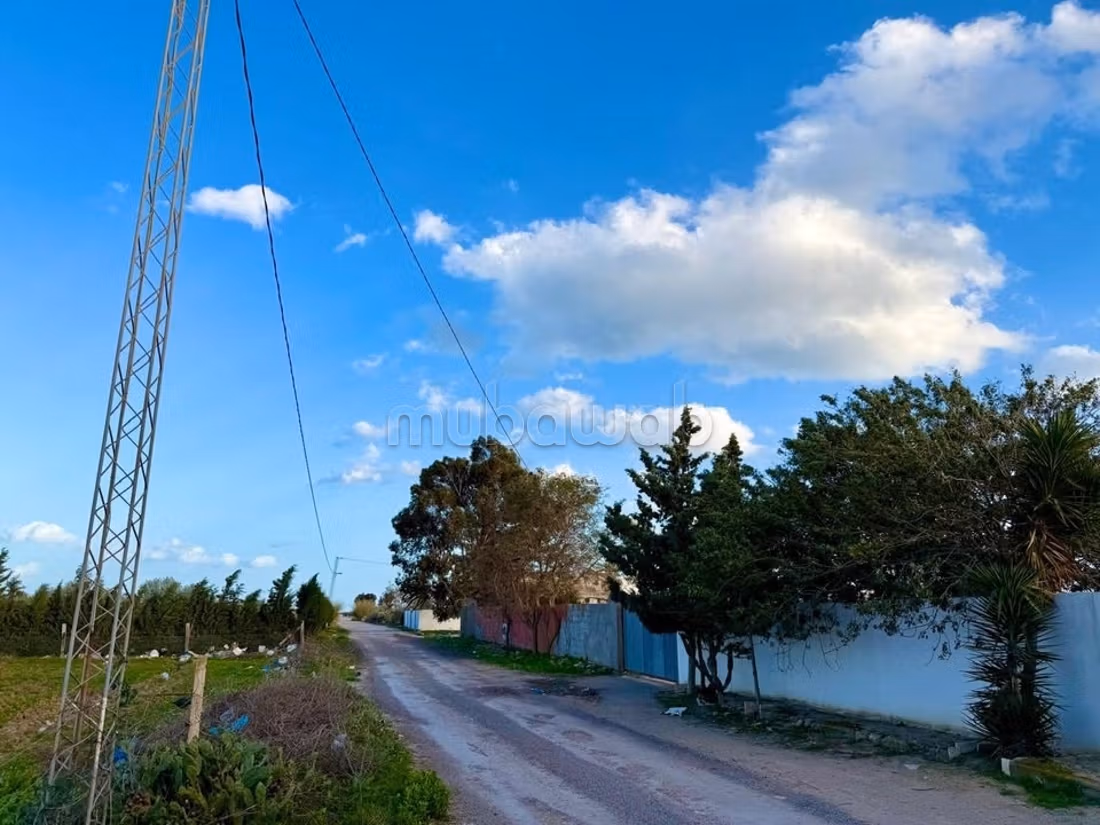 Terrain 10 min de Yasmine Hammamet 
nature calme