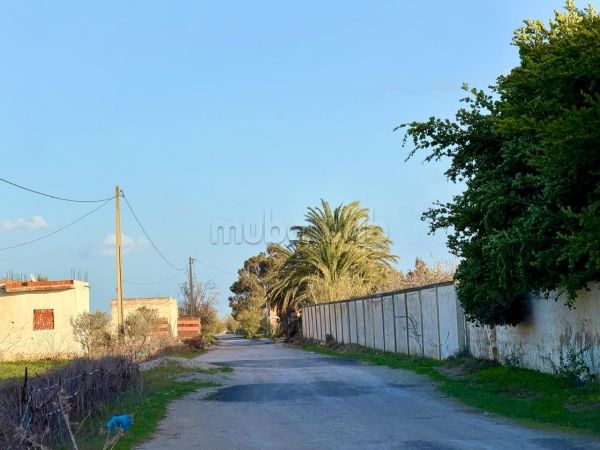 Terrain 10 min de Yasmine Hammamet 
nature calme