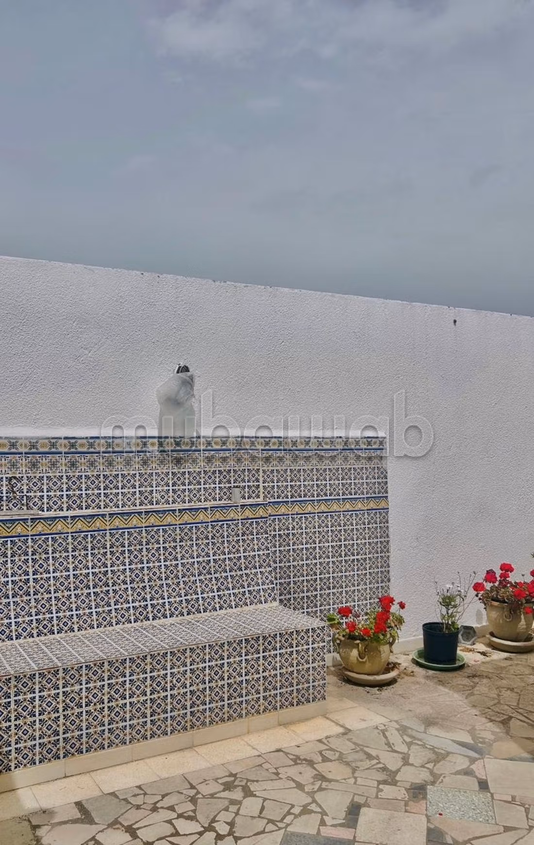 Villa à vendre raoued plage