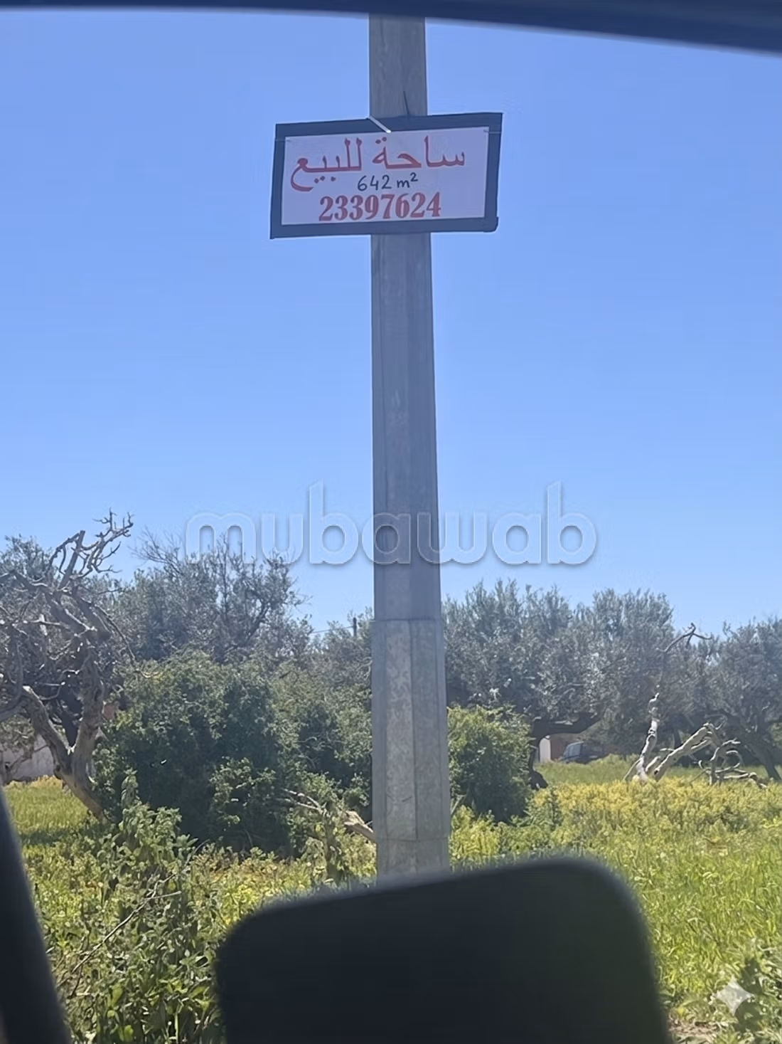 Il terreno dietro il chiosco a Klibia