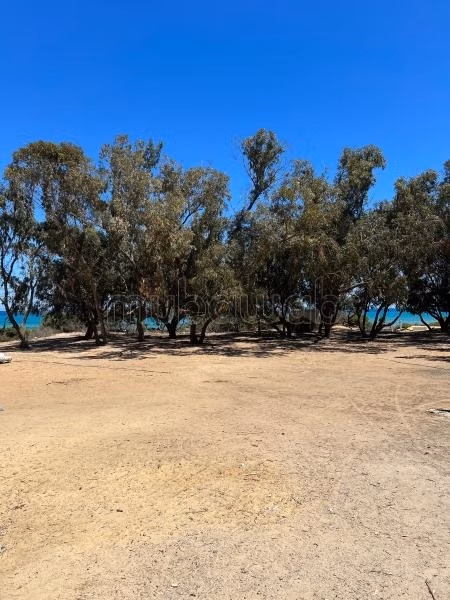 5 hectare au bord de la mer
