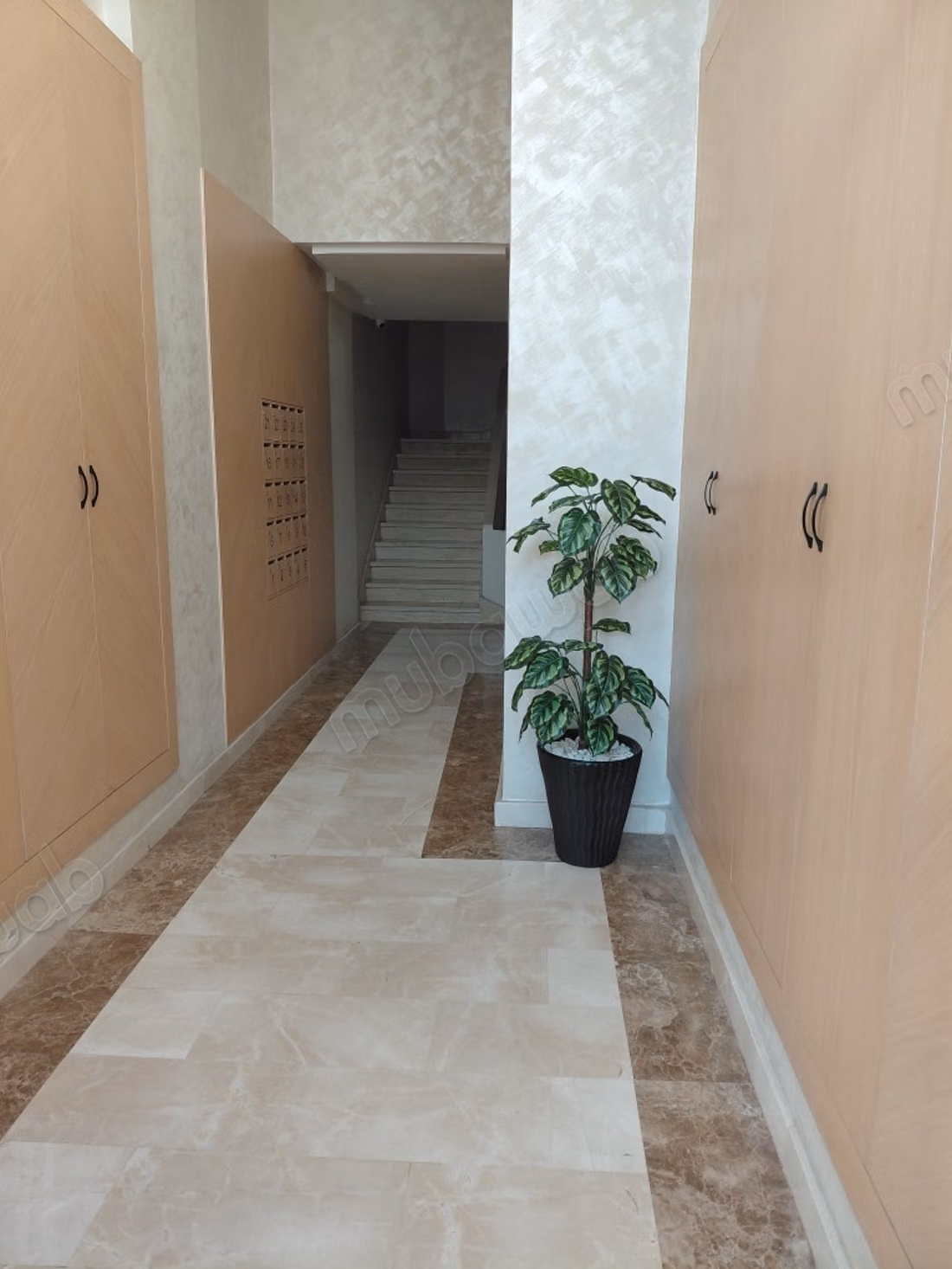 Studio à côté du hôpital chikh khalifa