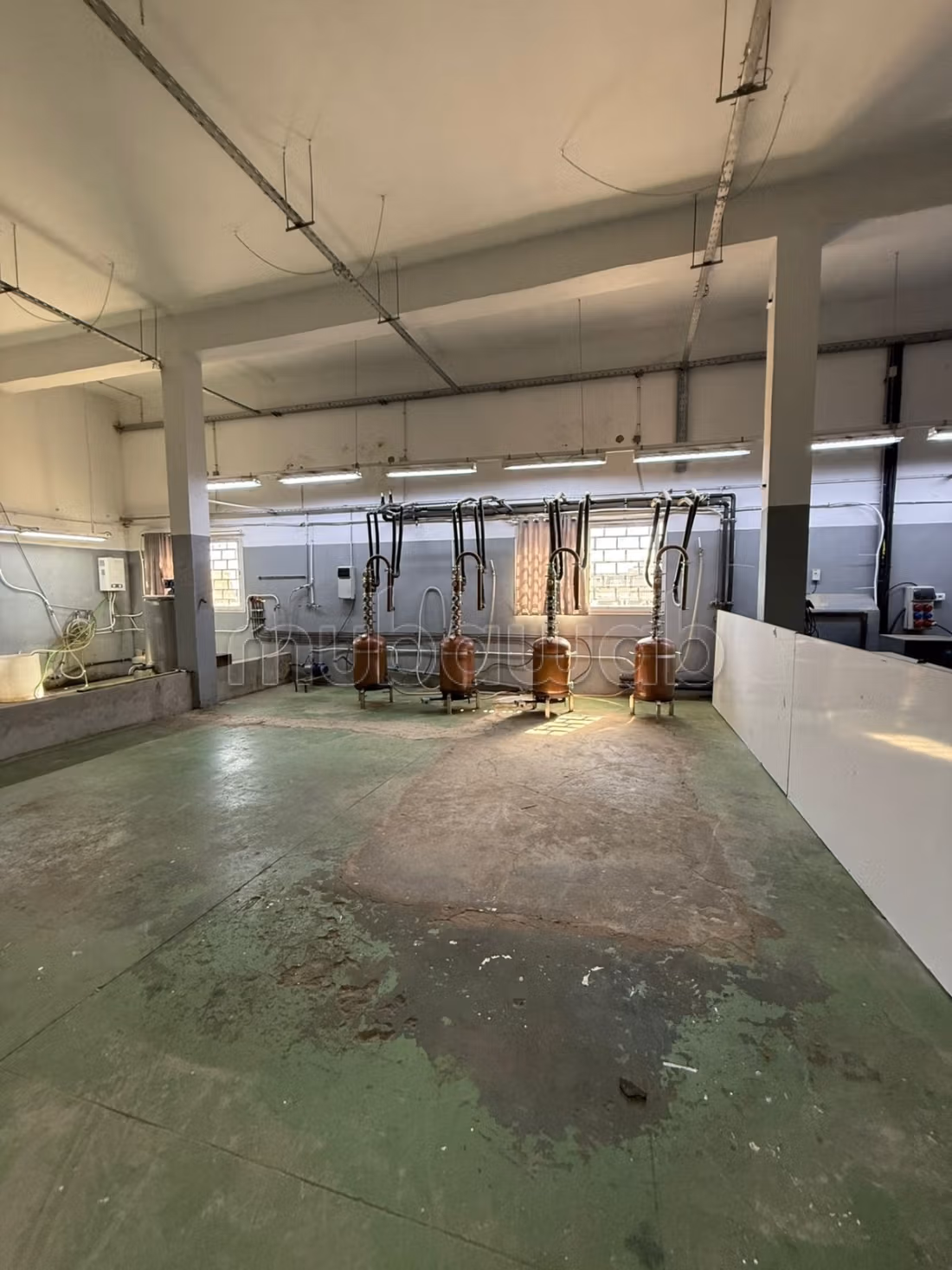 Prestigious factory for sale in Haouaria