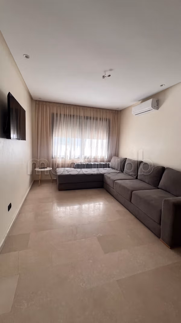 Furnished studio with separate kitchen and large terrace