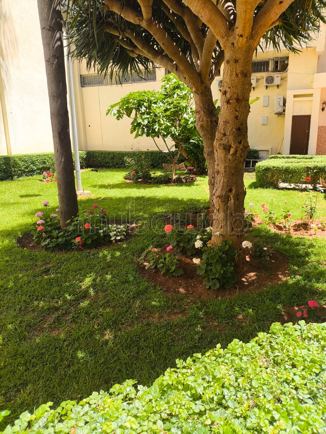 Appartement spacieux