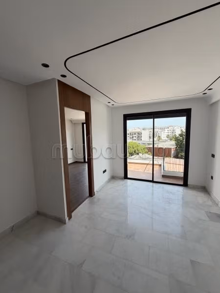 Studio premium a saisir