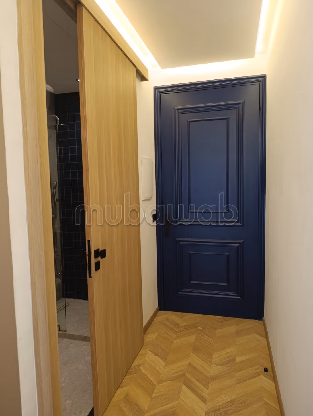 Studio nuovo eccezionale arredato - palme