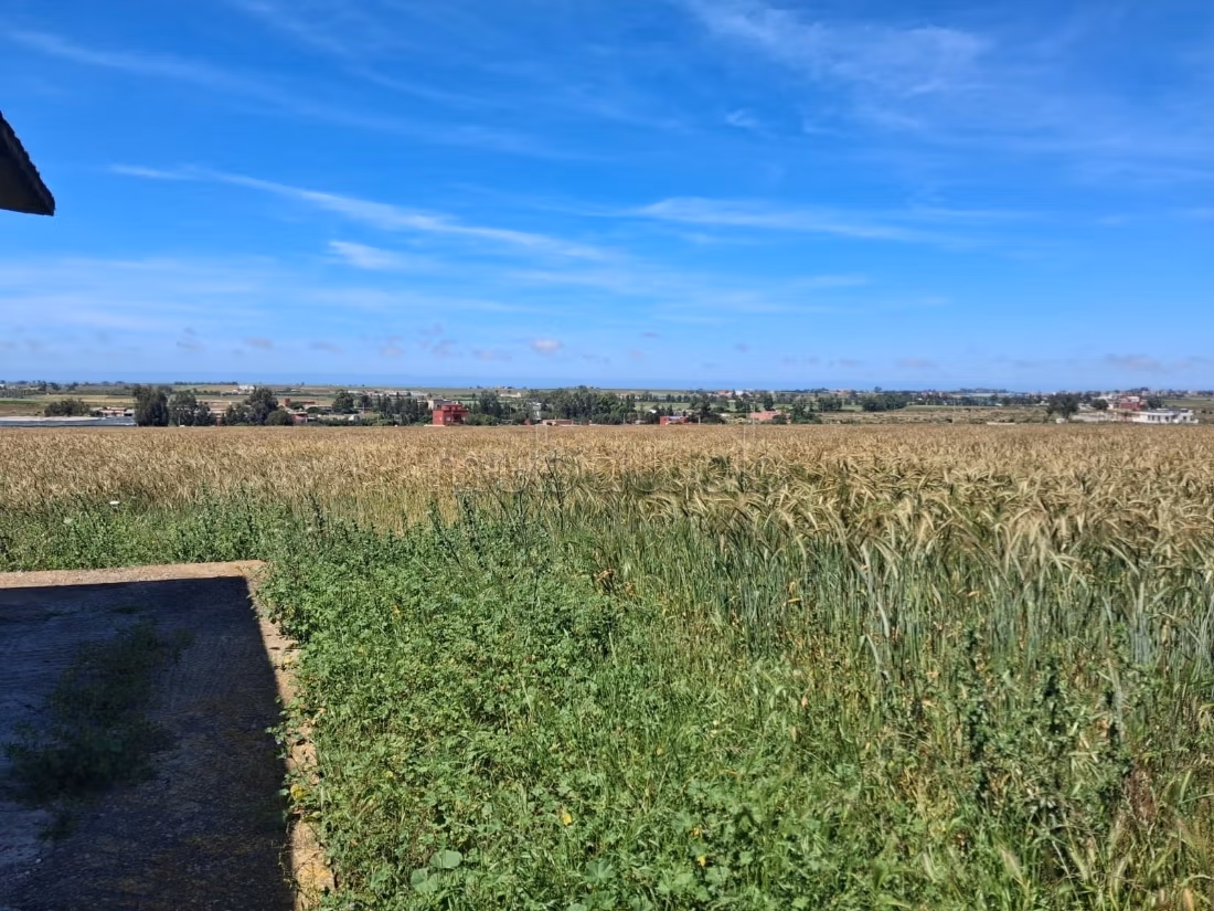 6.97 ha titled near Had Soualem, strong potential