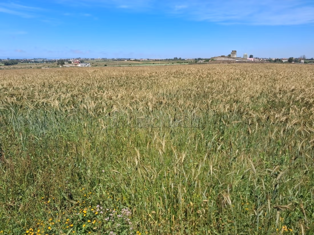 6.97 ha titled near Had Soualem, strong potential