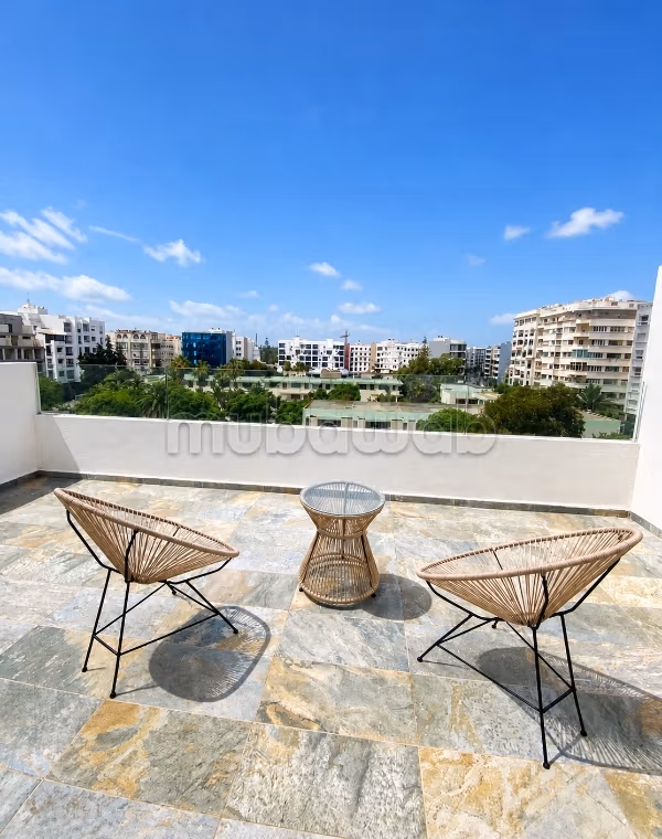Appartement meublé refait à neuf avec magnifique terrasse