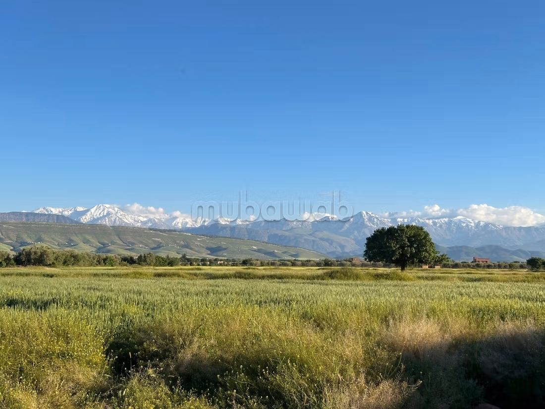 Terreno en venta. Area 12000 m²