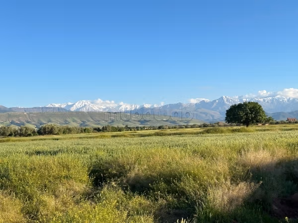 Terrain en vente à Tamazouzte. 
Surface totale 12000 m²