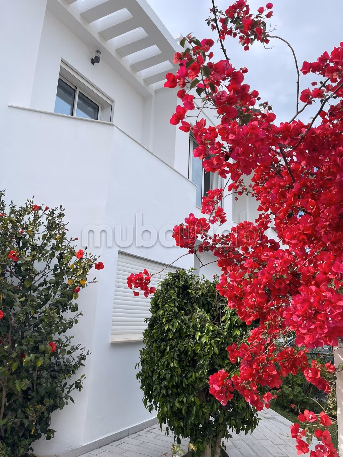 Residence la Roseraie Yasmine Hammamet
