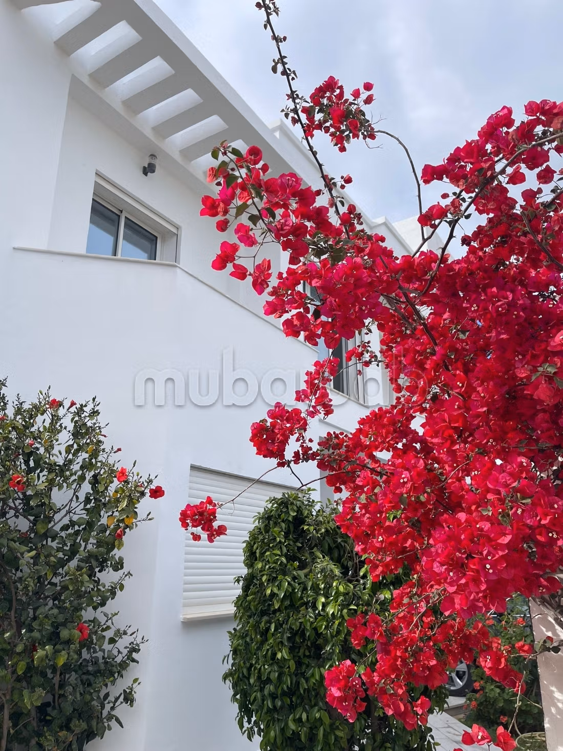 Residence la Roseraie Yasmine Hammamet