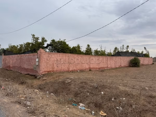 Terrain 1000 m2