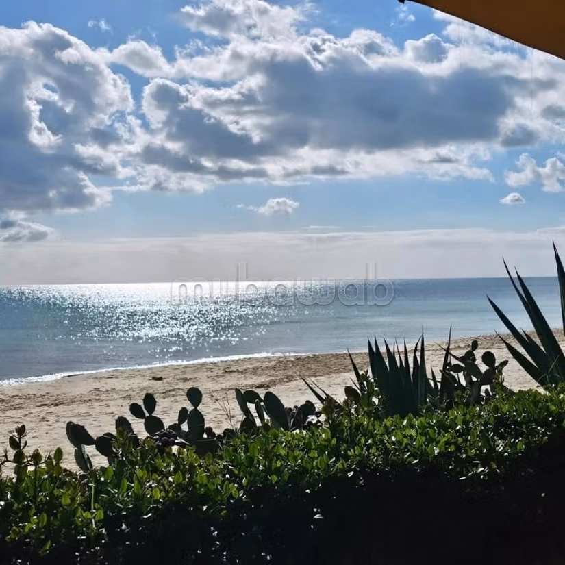 Dar Sonia Hammamet centro da affittare per notte