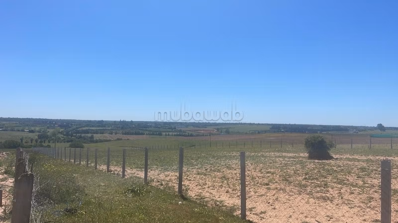 Terreno de 1 hectárea en venta – Sidi Allal Bahraoui