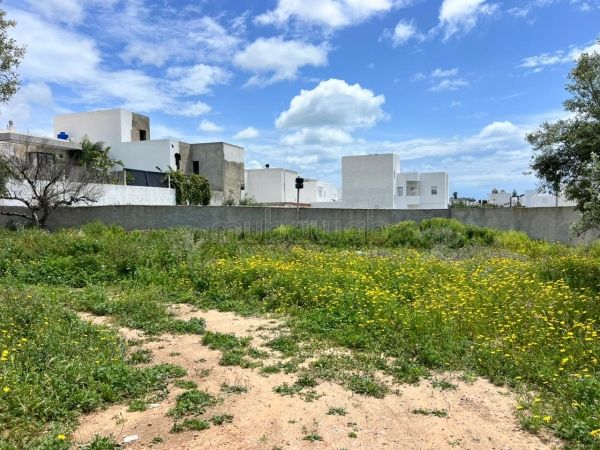 À vendre: terrain de 495m² avec accès goudronné