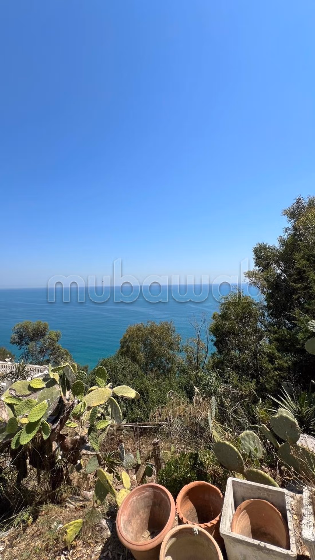 In affitto appartamento con vista mare