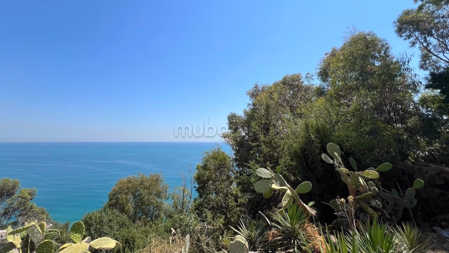 In affitto appartamento con vista mare