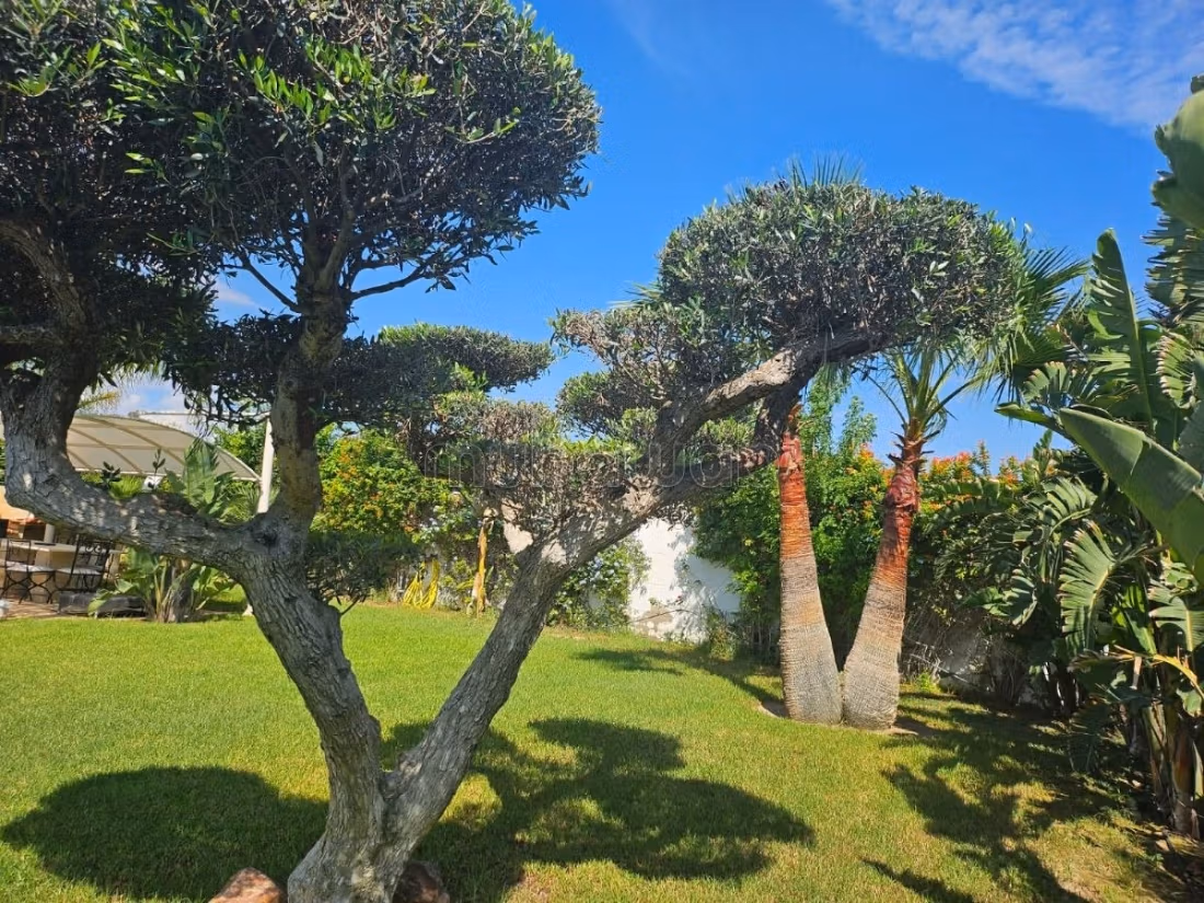 Vente Villa Yaser à Hammamet sud