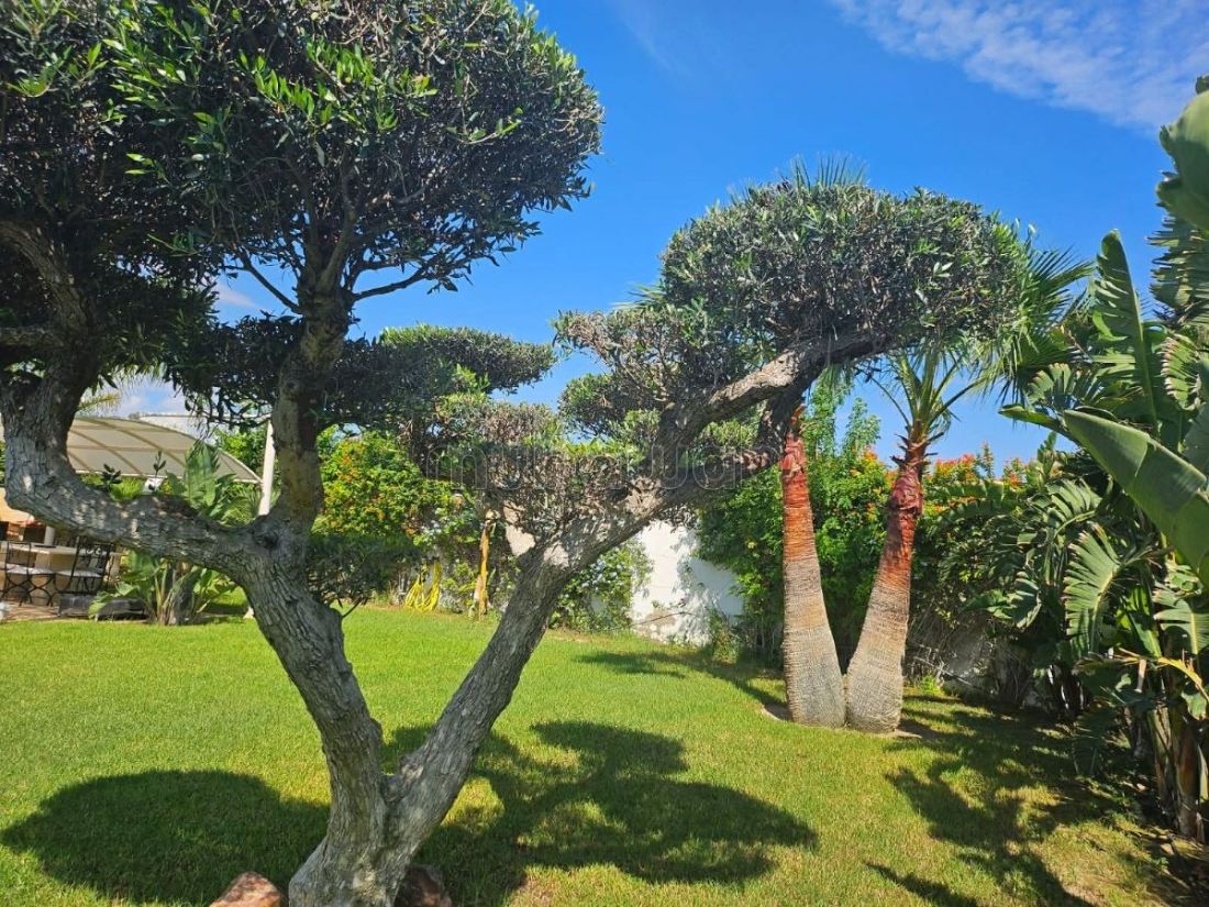 Vente Villa Yaser à Hammamet sud