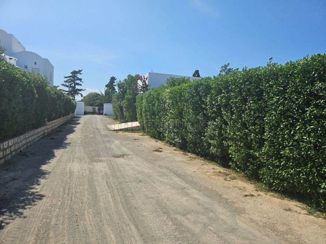 Vente Villa Yaser à Hammamet sud