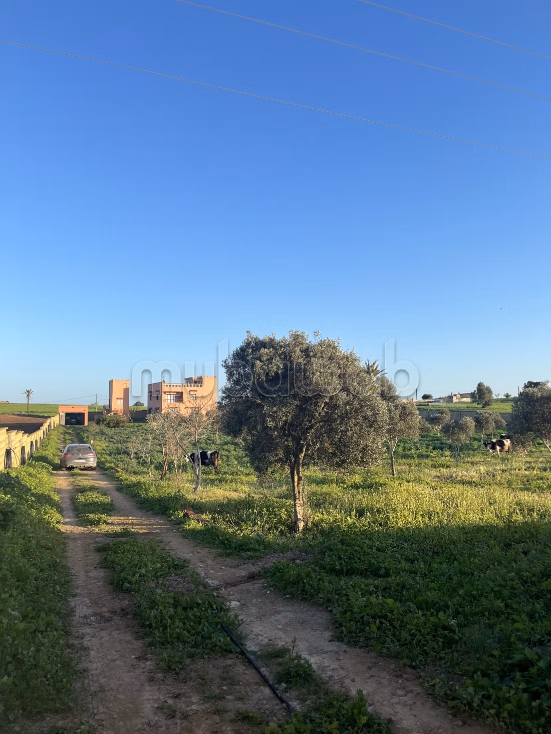 Farm very well located