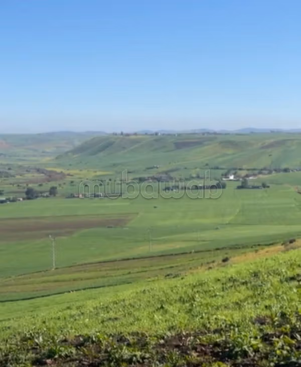 Beau terrain à la vente à la commune RDADNA Superficie 6041 m²