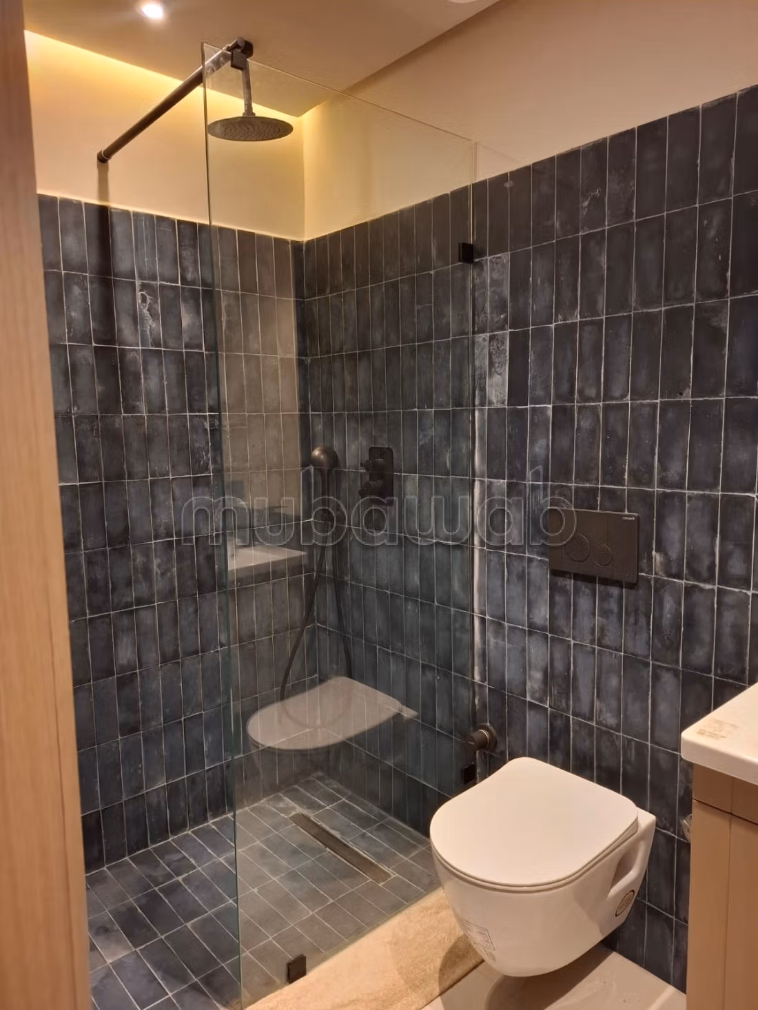 À louer – Superbe appartement meublé neuf avec terrasse à Oasis — 4