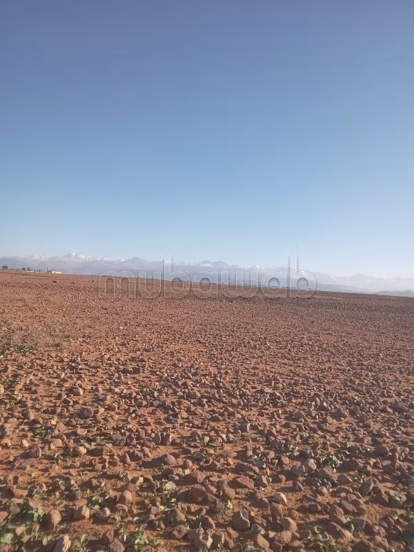 92,5 Ha TITEL op Route de Tahnaout Marrakech