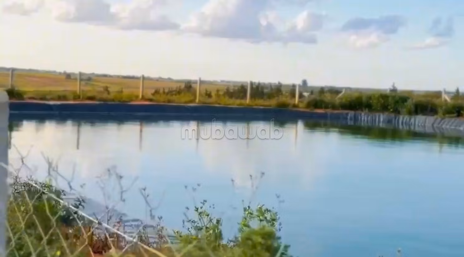 Ferme agricole de 6,8 ha à Tiflet